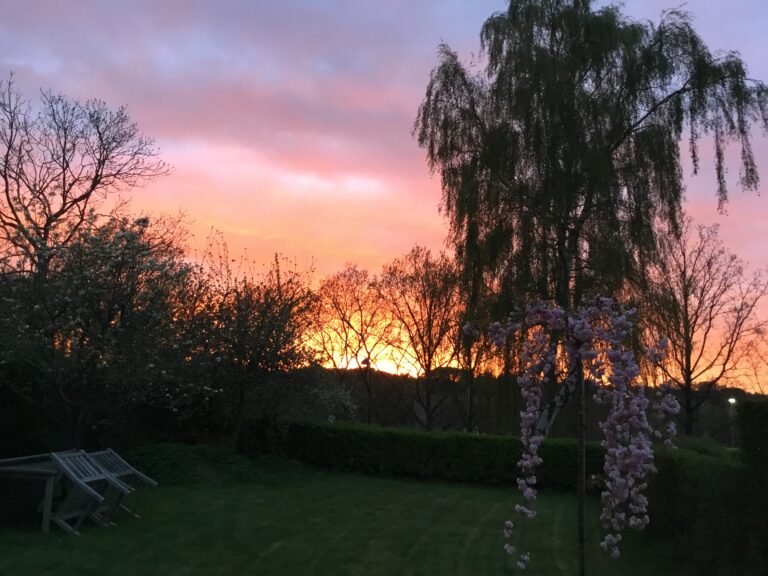 Sunset from our garden